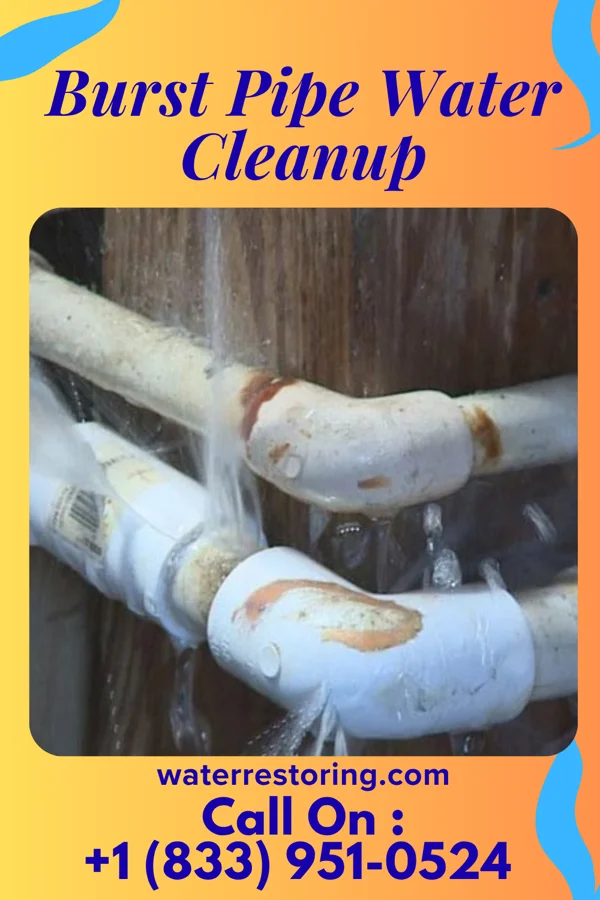 Burst Pipe Water Cleanup in Governors Village, NC