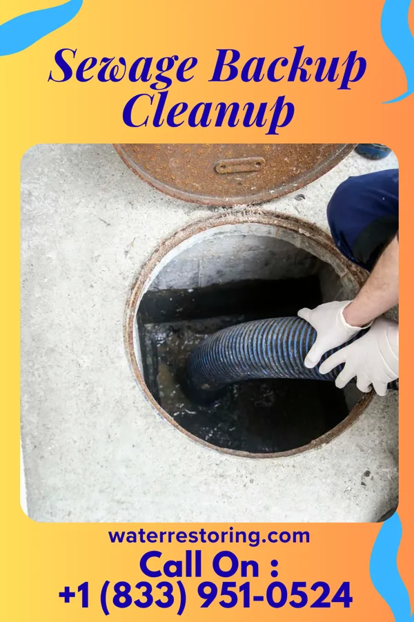 Sewage Backup Cleanup in Governors Village, NC